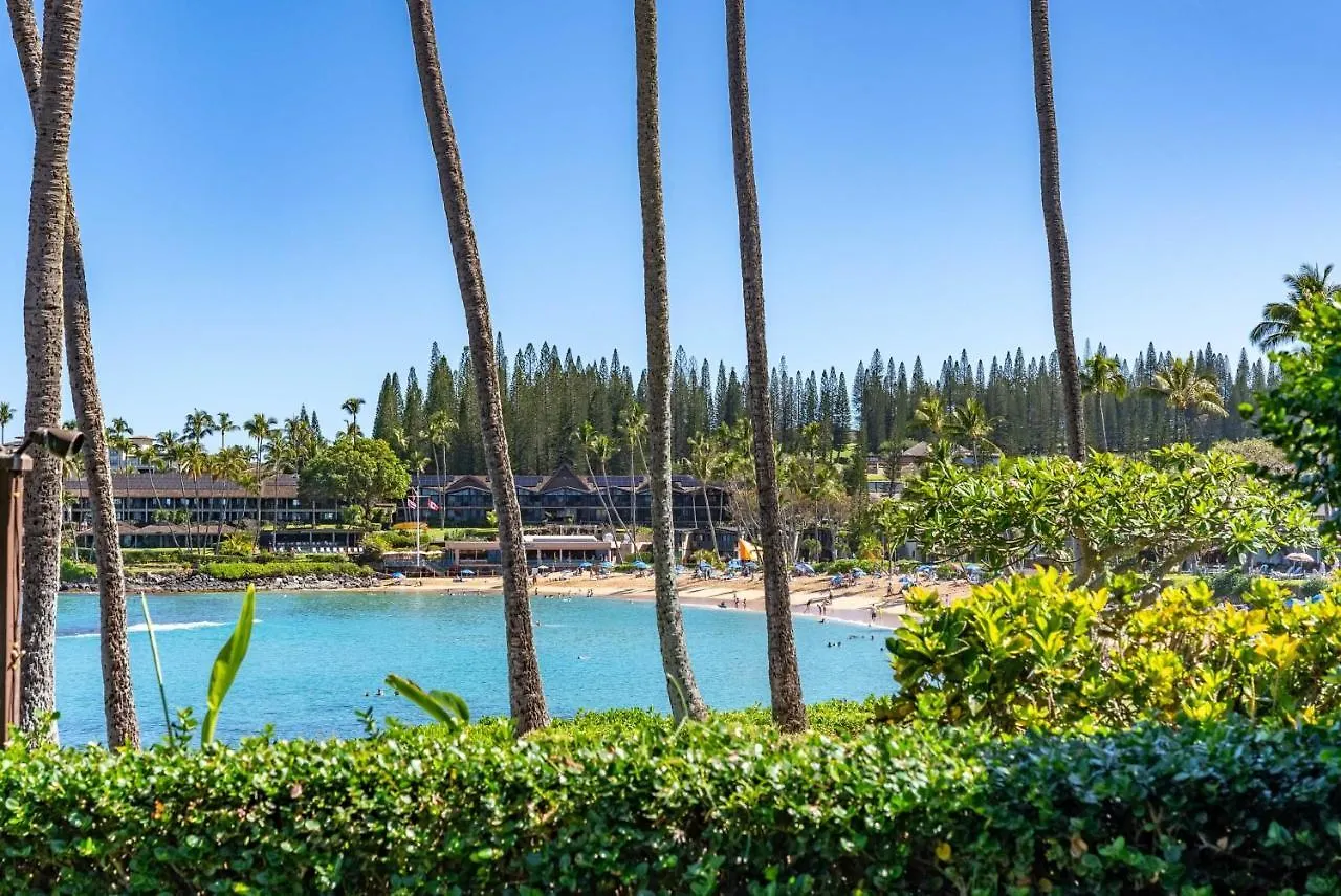 Napili Shores A106 Studio Condo Condo カハナ アパート
